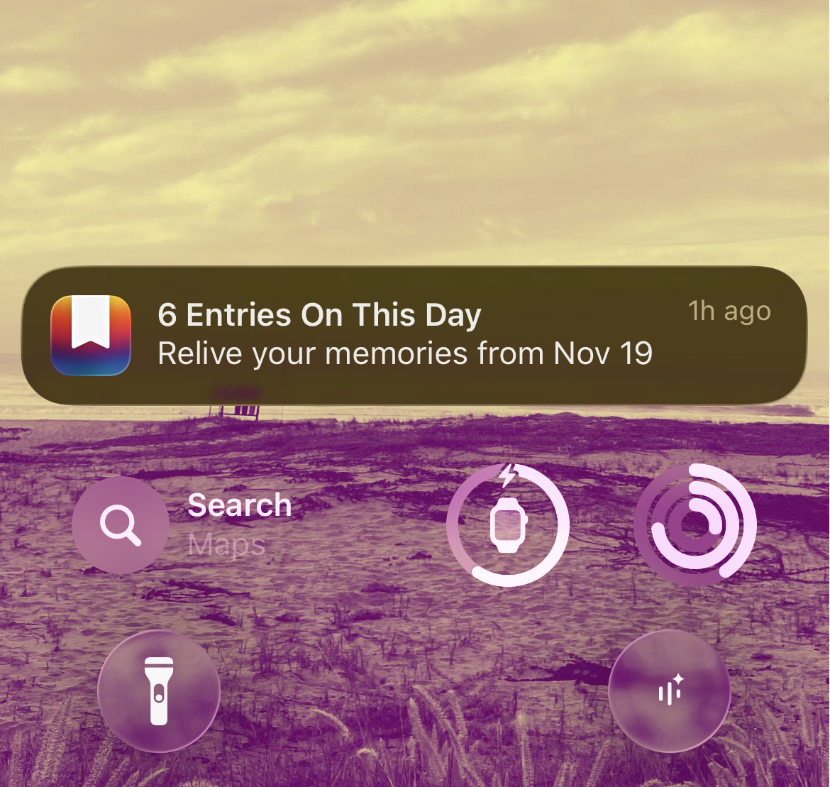 Screenshot on iOS showing a notification from Day One reminding me to relive 6 memories from Nov 19th